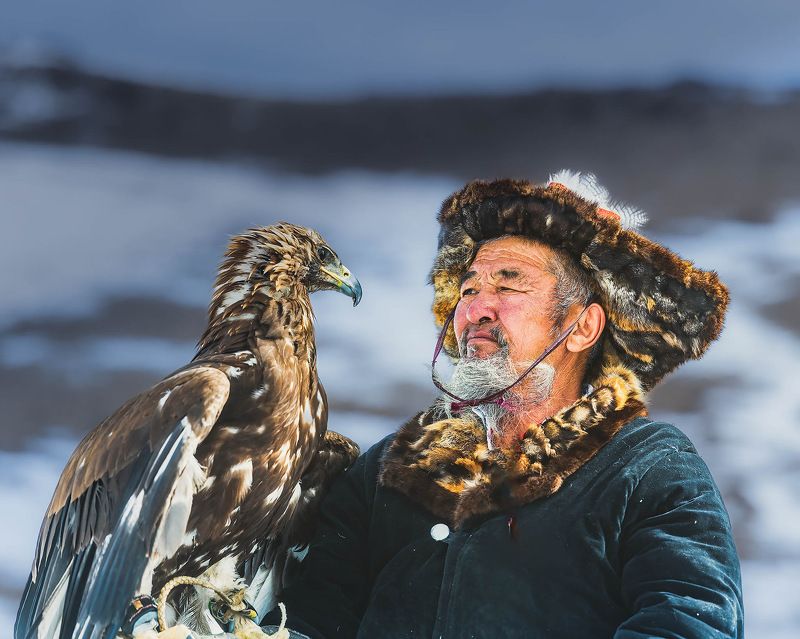 Mongolia. Golden Eagle 23 фото превью