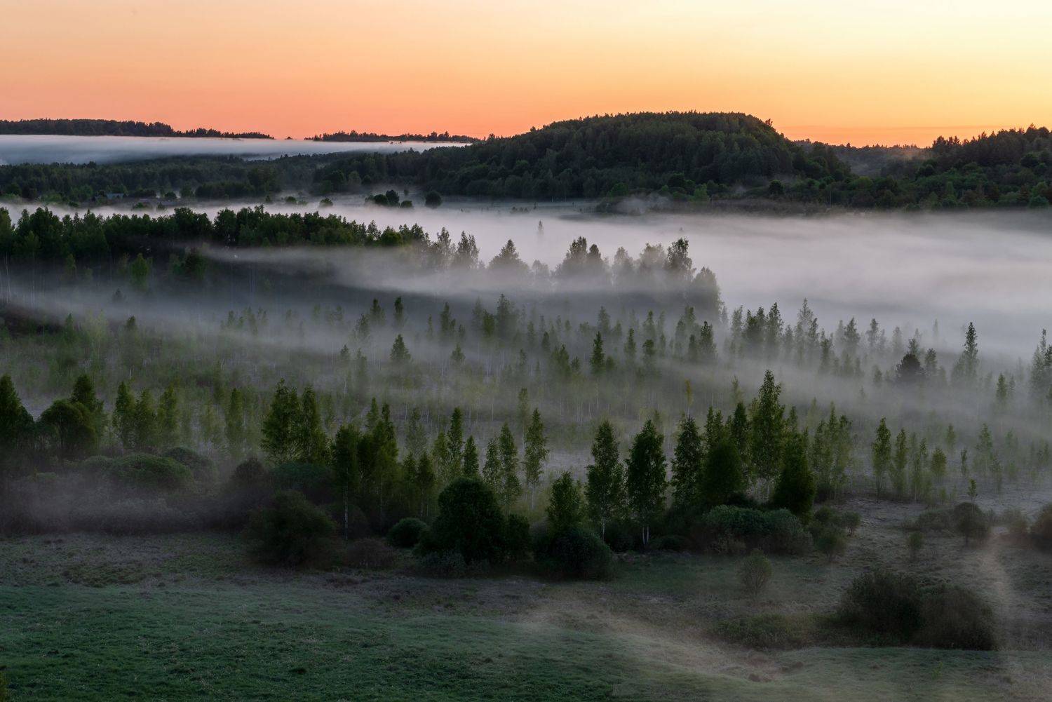 , Желенговский Виктор