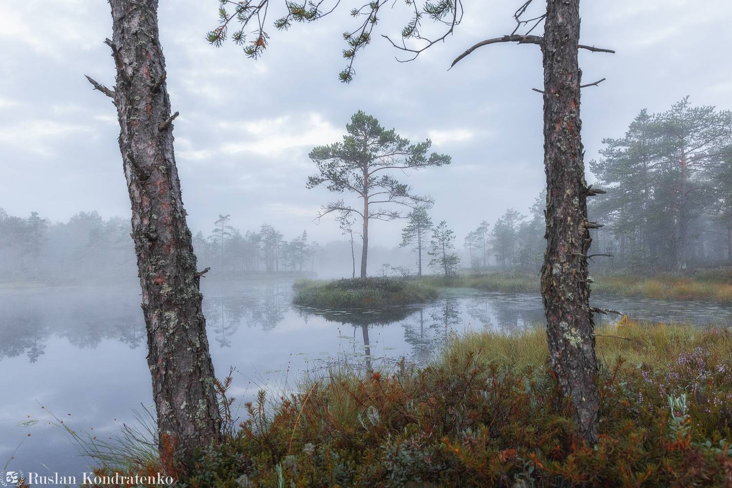 ленинградская область, озеро, рассвет, закат, рыбачье озеро, туман, Кондратенко Руслан
