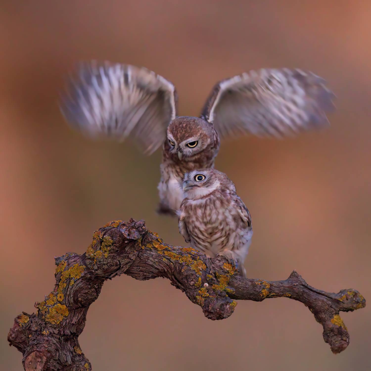 , Фруман Евгений