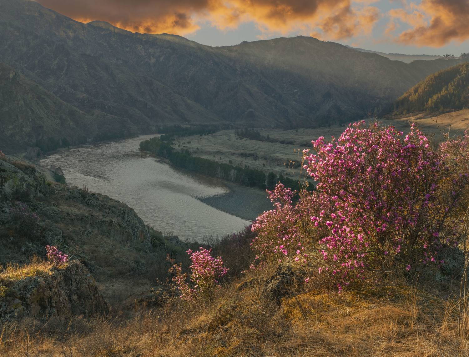 Фототуры с Владимиром Рябковым, #topnature #russpasibo #magic_shots #lovelyRussia #sunset_vision #exclusive_sky  #exclusive_shots #loves_russia2 #photoarena_nature #nature_sultans #nature_perfection #rsa_sky #rsa_sunset #photorussia #rsa_naturepics #sunse, Владимир Рябков