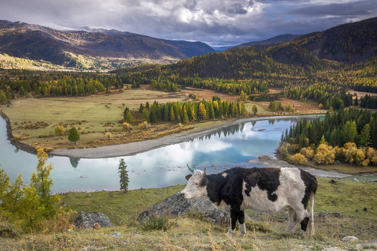 , Андрей Ершов