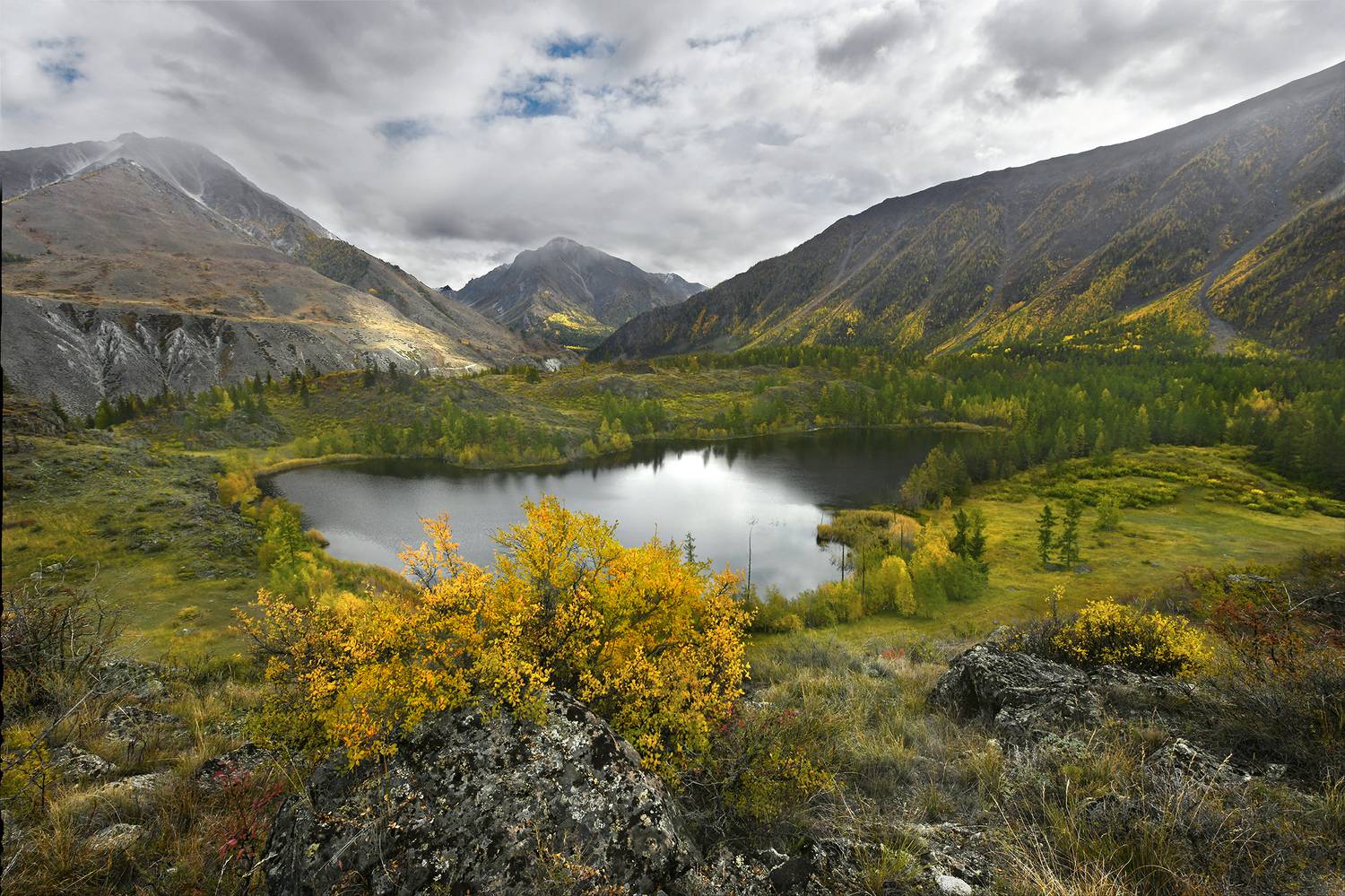 , Светлана Крат