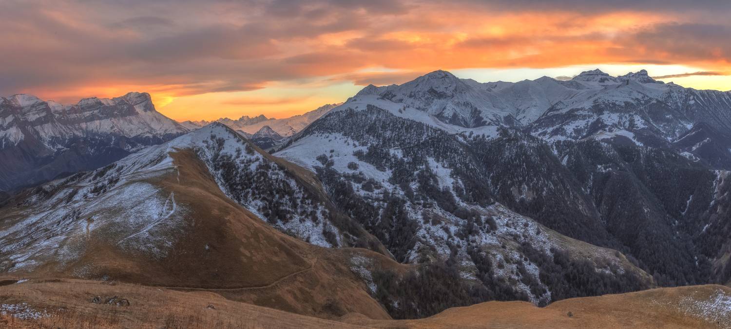 , ПУЗЕНКО ДМИТРИЙ