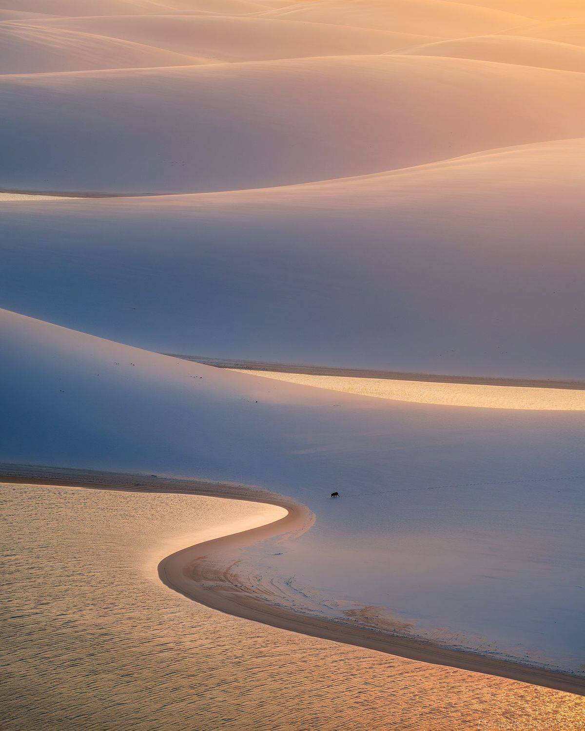 , Даниил Коржонов