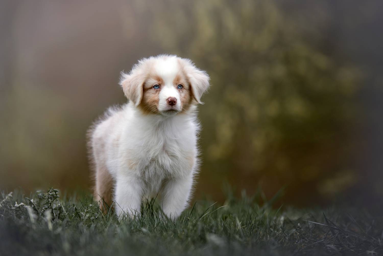 , Ирина Мороз