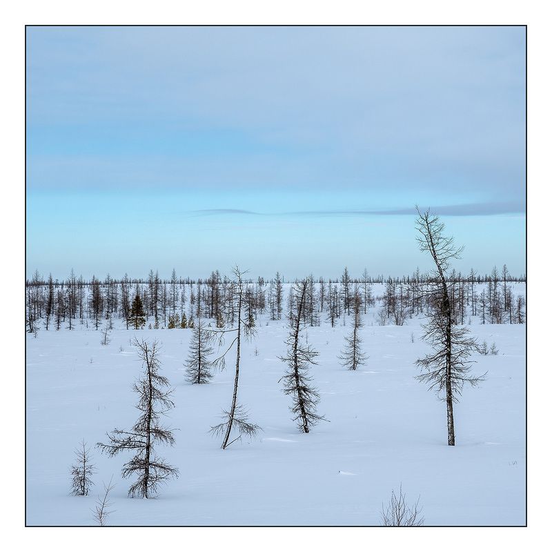 Краски ямальской тундры в марте фото превью