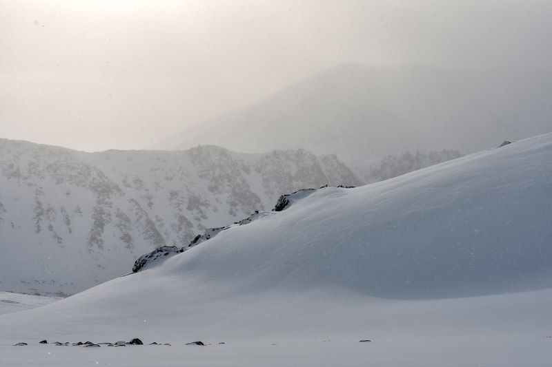 ямал, пейзаж, снег, сугробы, зима, природа, камни Белая мгла фото превью