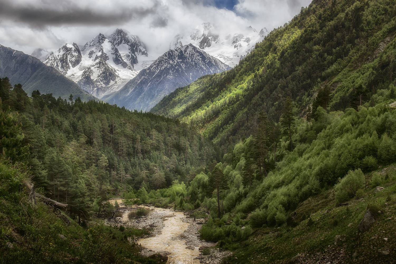 , Геннадий Чеботарев