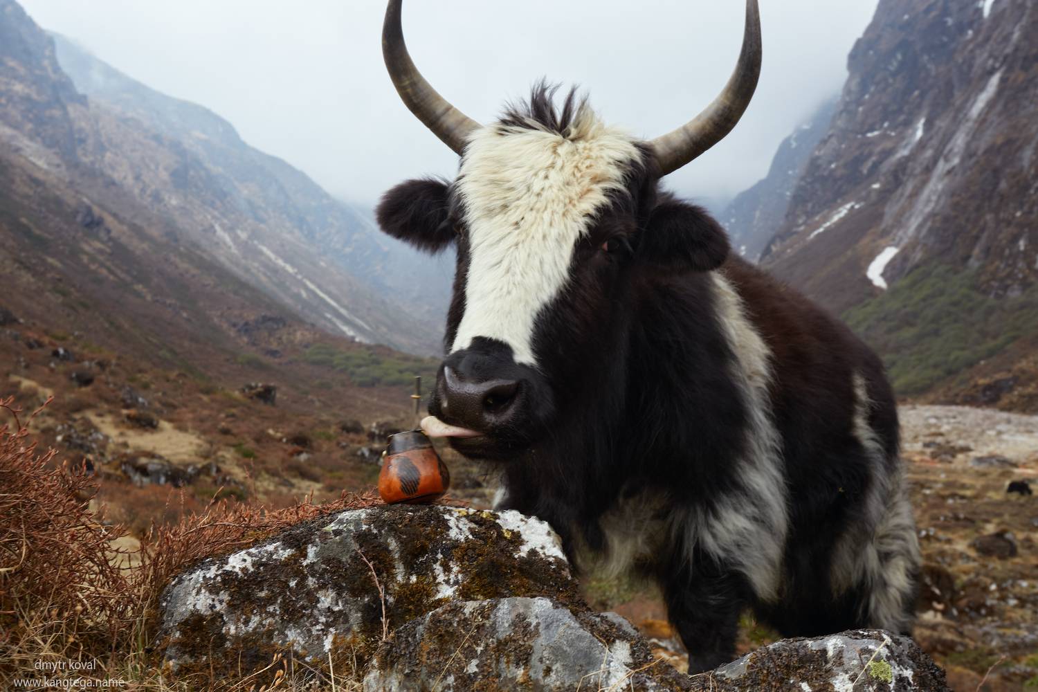 гималаи и крым вне треков, Коваль Дмитр