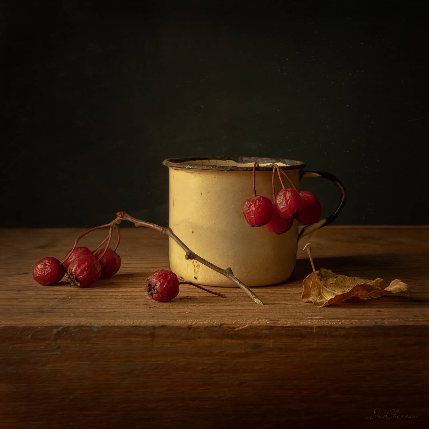 , Чернин Дмитрий