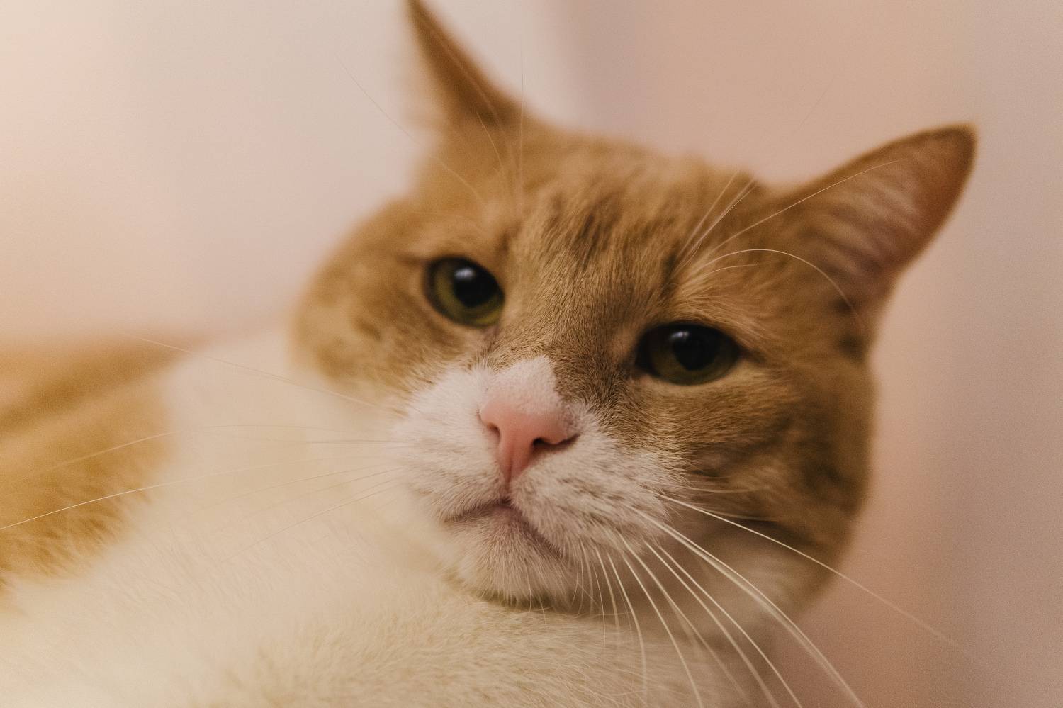 , Вертиков Юрий