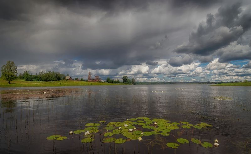 Стерж фото превью