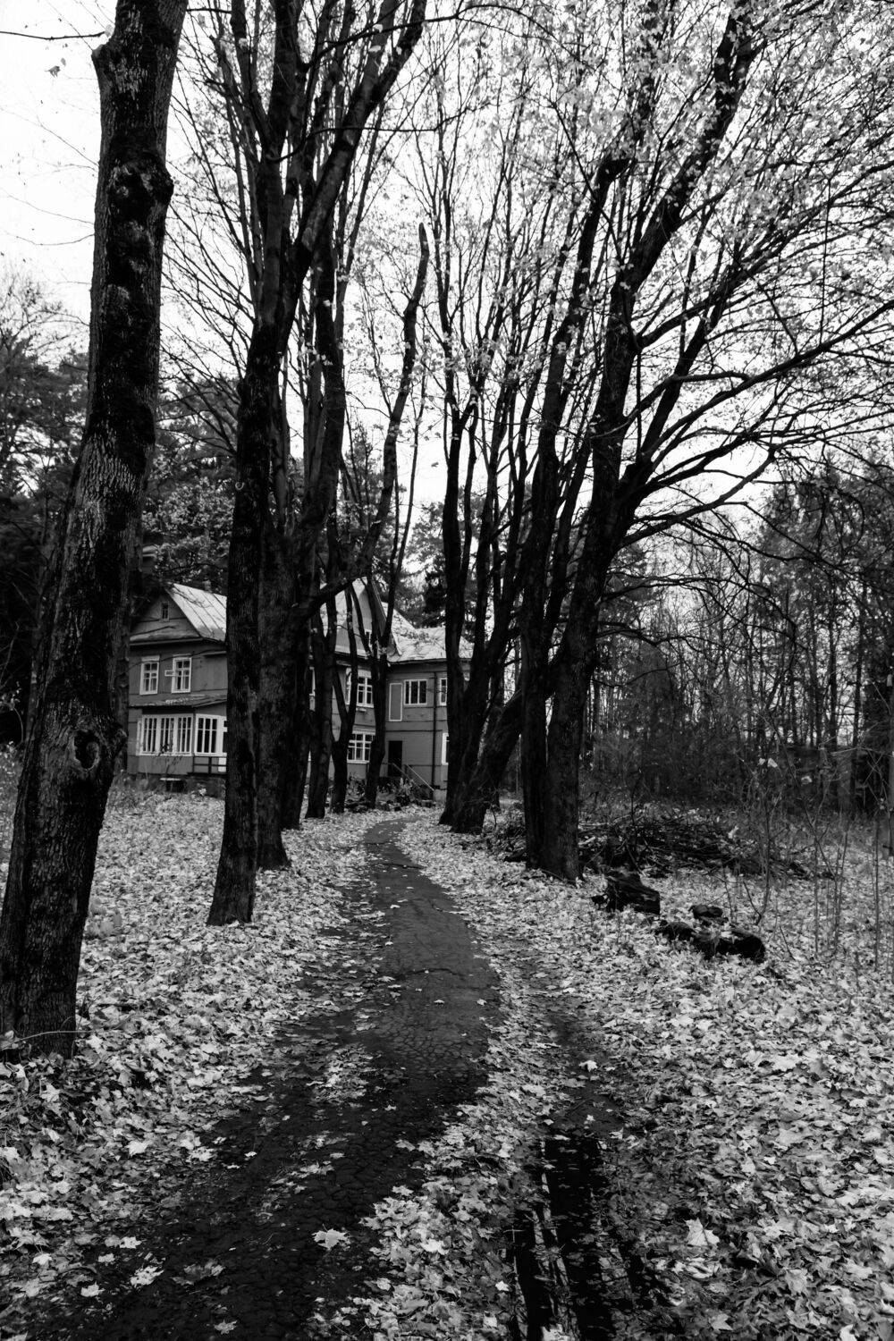 , Шилов Александр