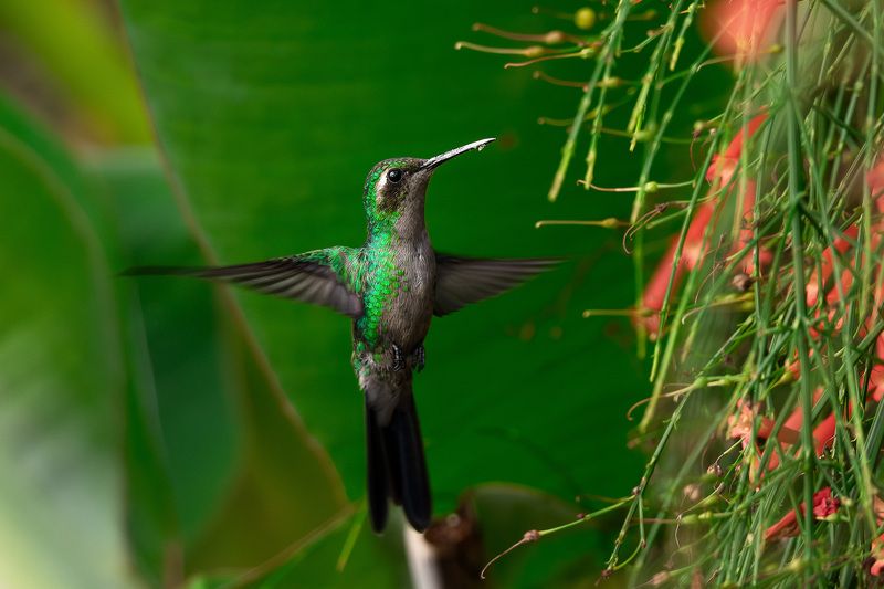 h 3 фото превью