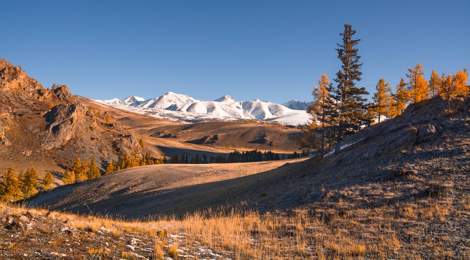 россия, горный алтай,осень, Андрей Поляков