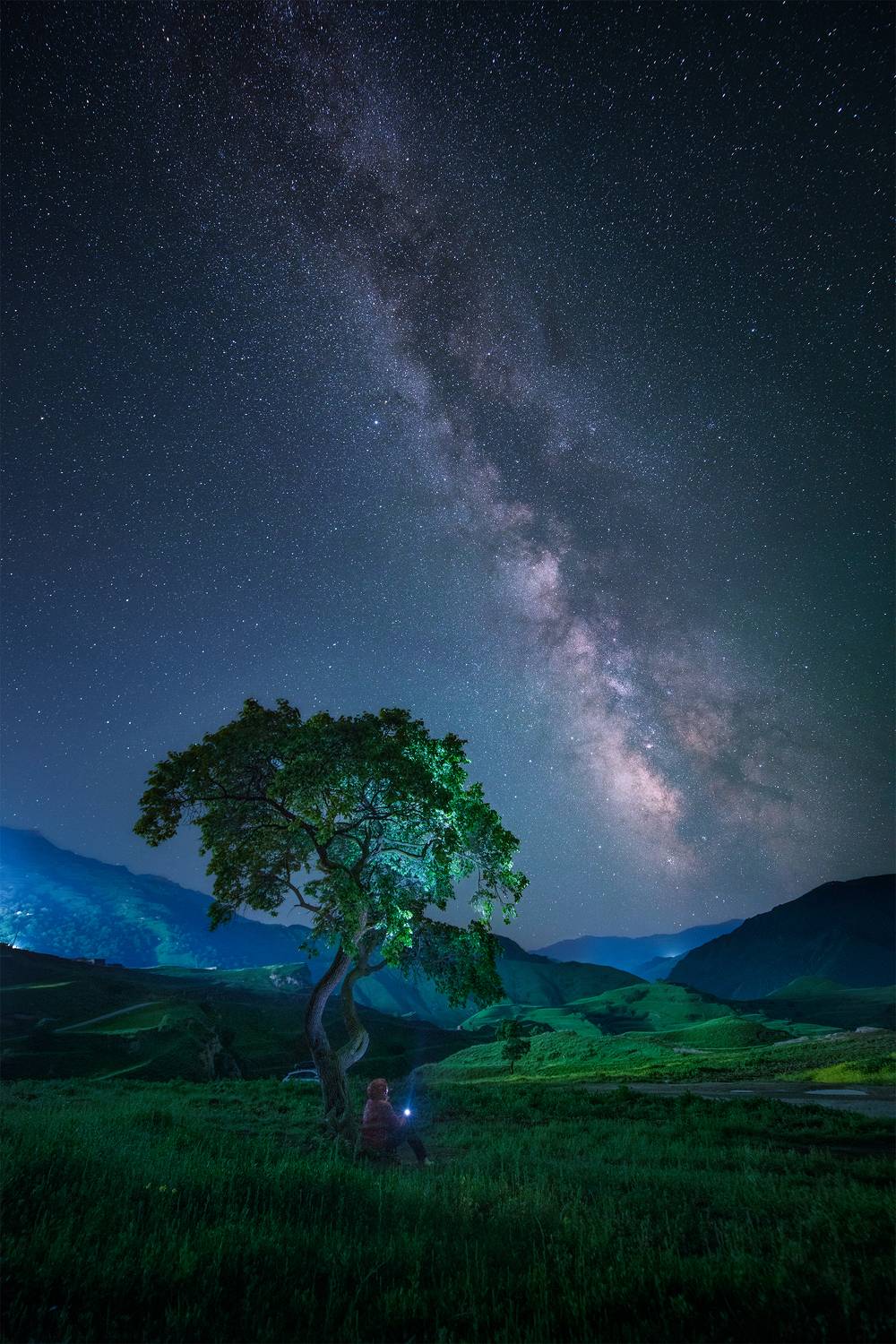 , Елена Ермолина