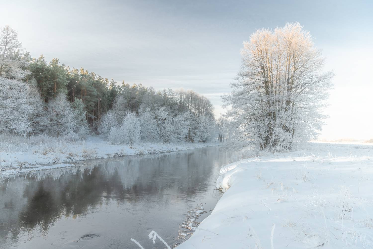 , Руслан Авдевич