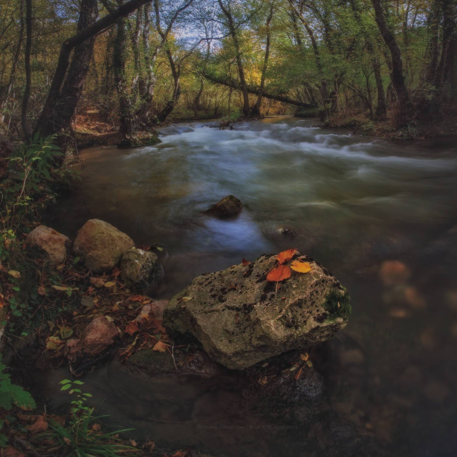 крым, севастополь, пейзаж, чёрнаяречка, crimea, landscape, Щепотина Татьяна