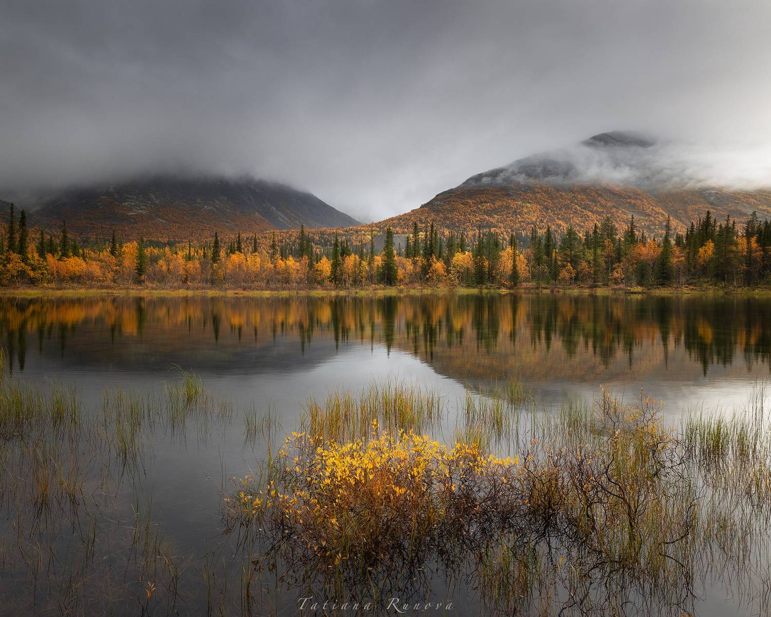 , Рунова Татьяна