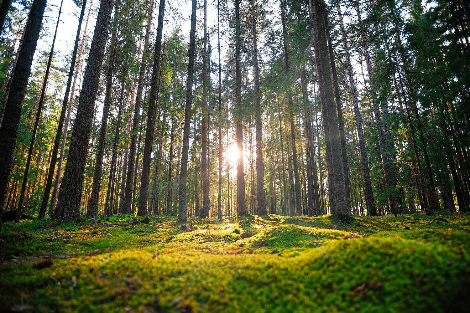 , Кочкин Владимир