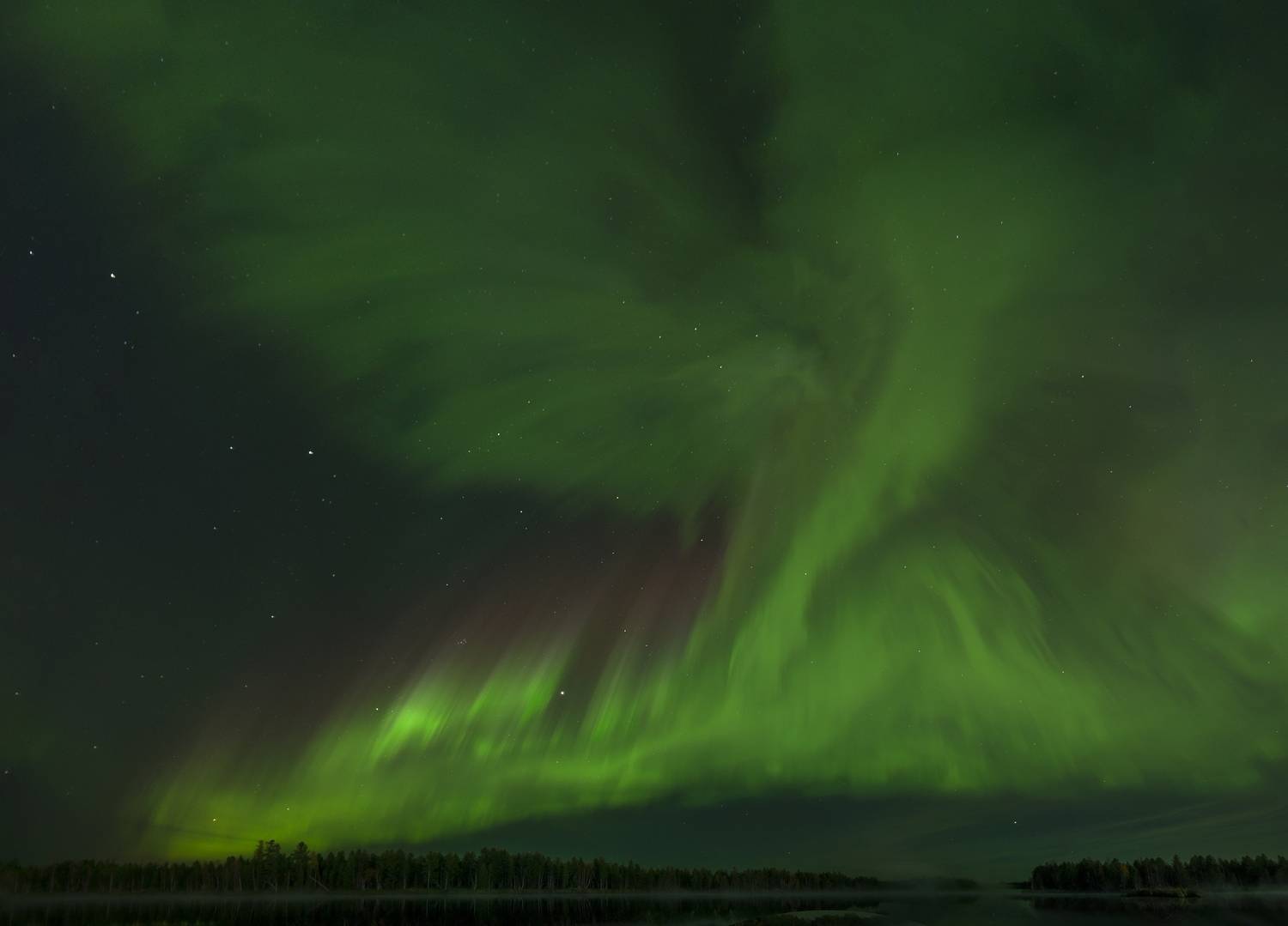 , Тушин Алексей