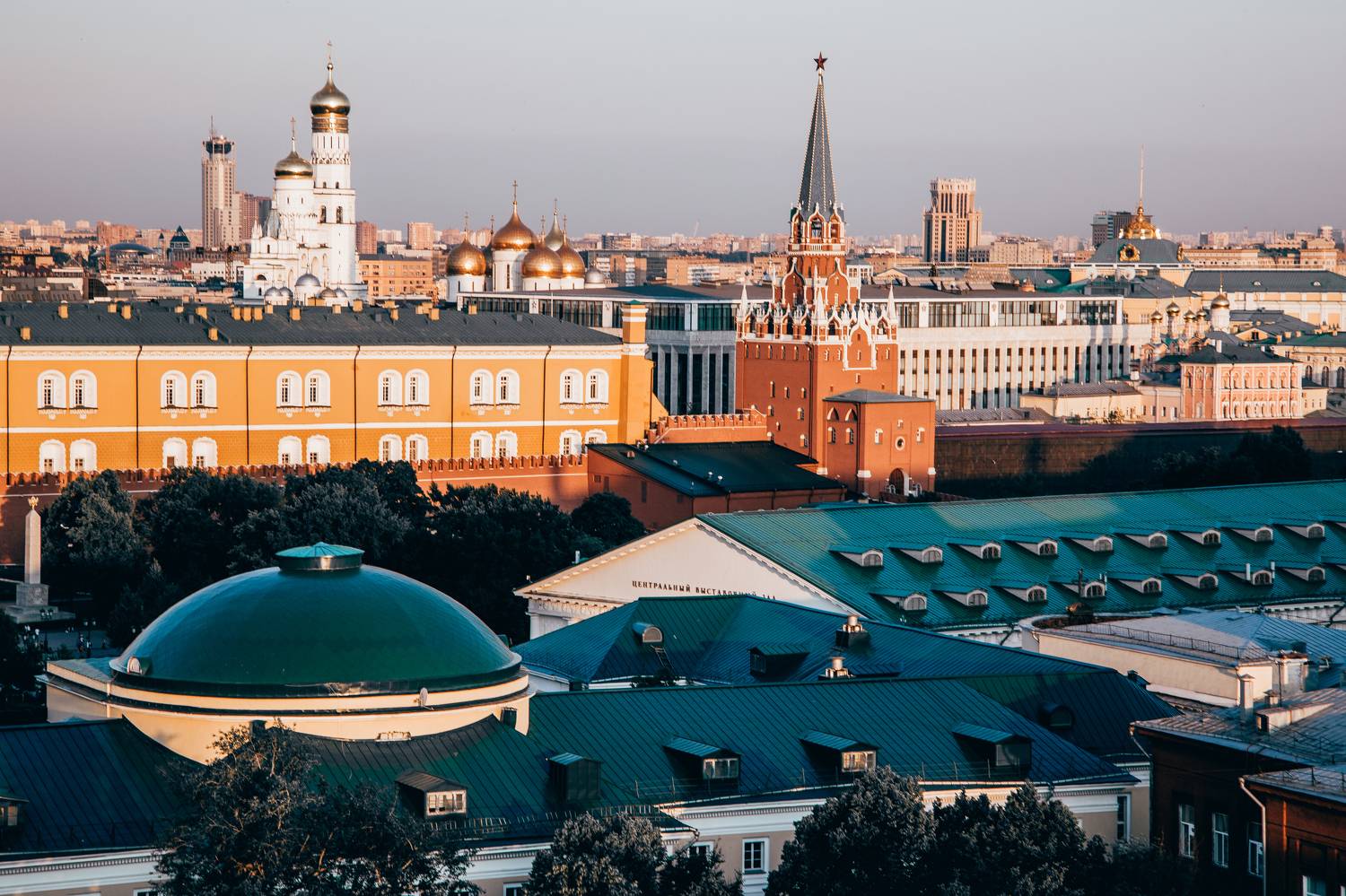 , Трепольский Дмитрий