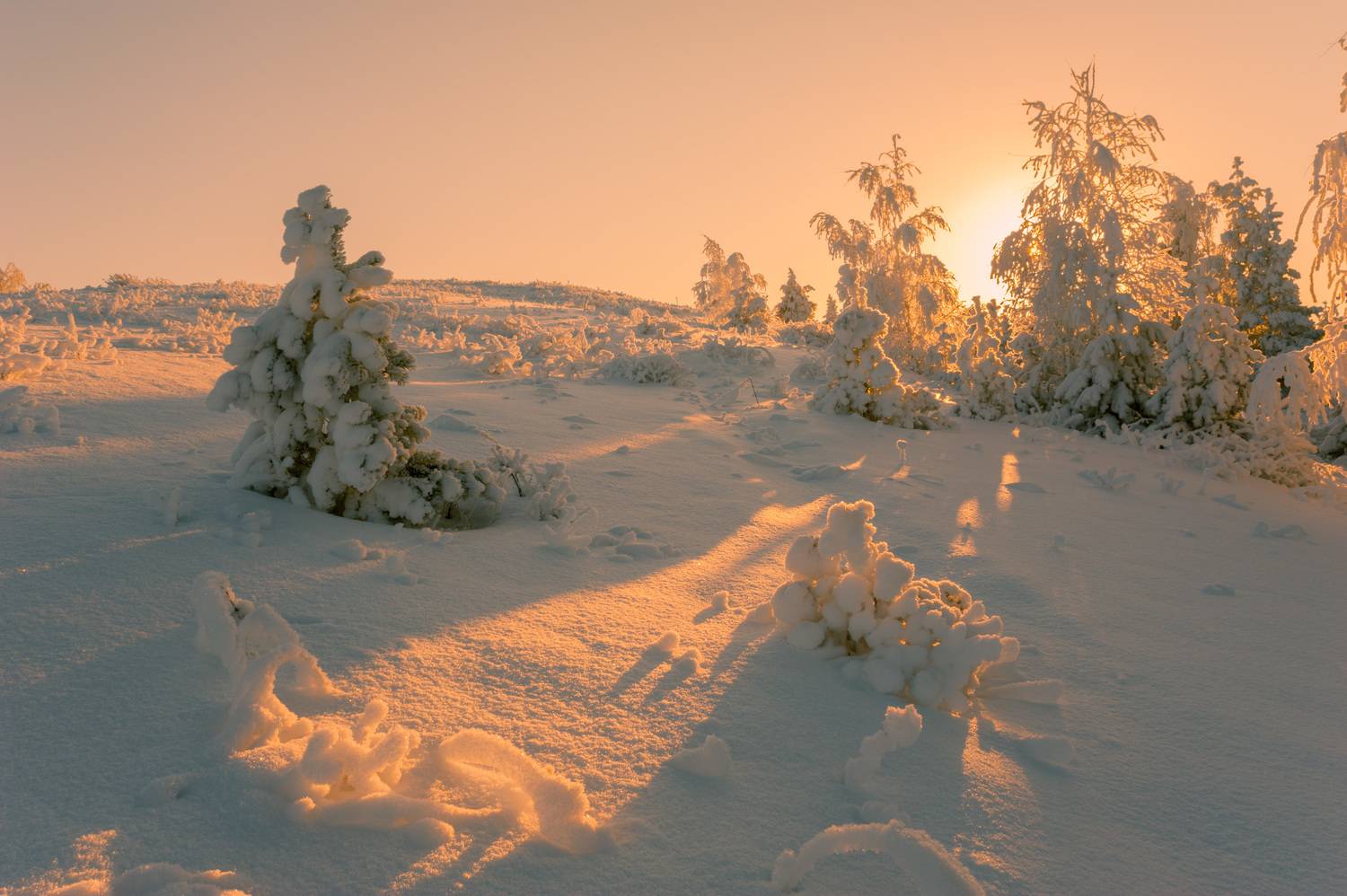 , Шустиков Дмитрий