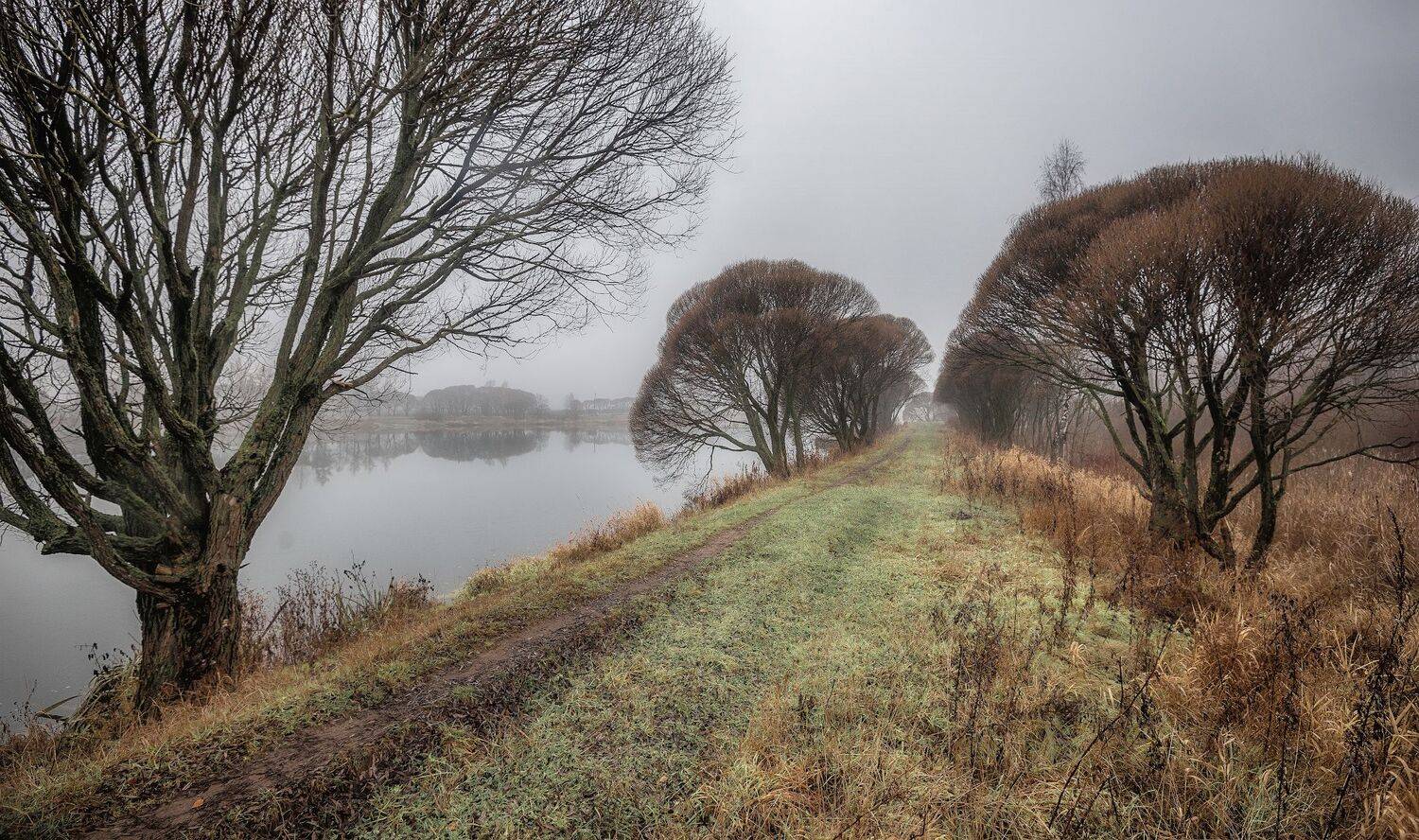 пруд, заморозки, утро, ивы, Сергей Аникин