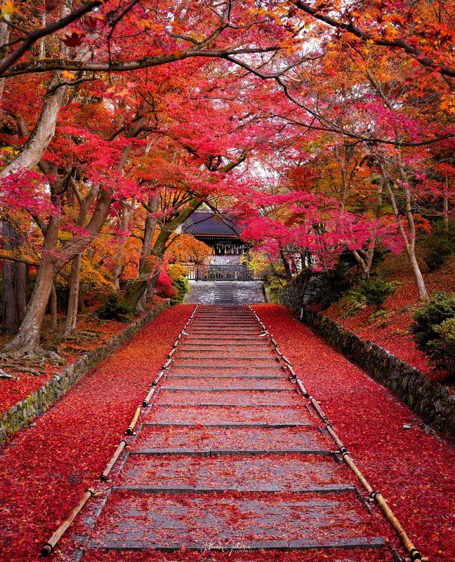 #kyoto #japan #autumn #temple [ Bishamondo Temple ] фото превью