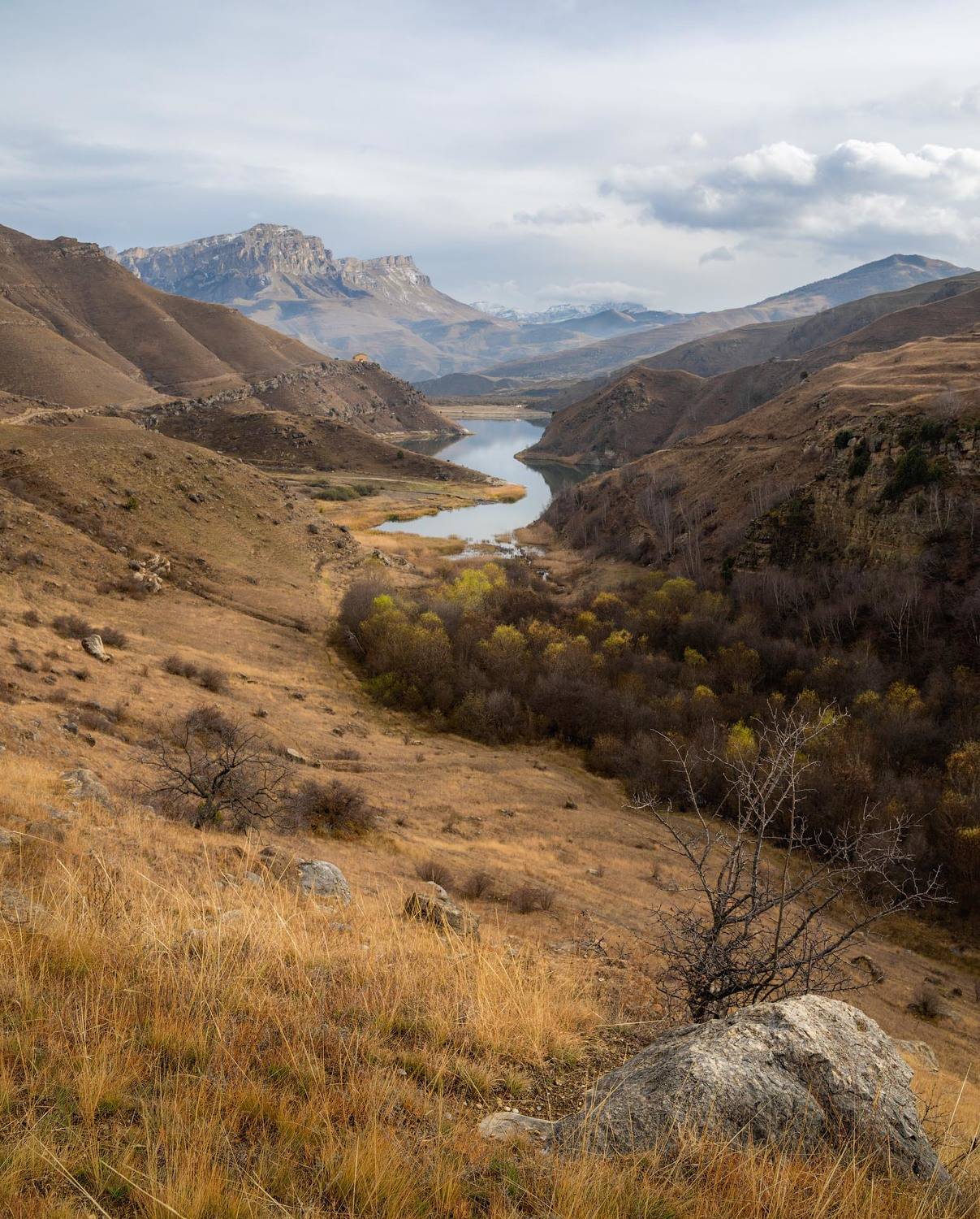 , Шевченко Юрий