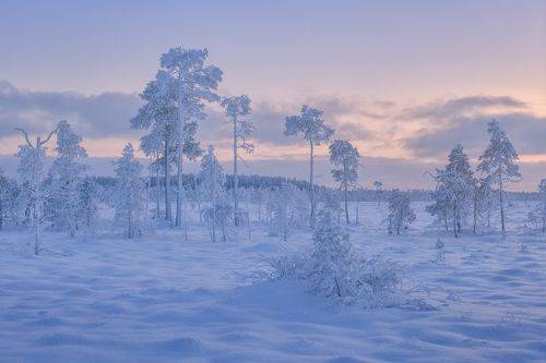 Карельский ноябрь...