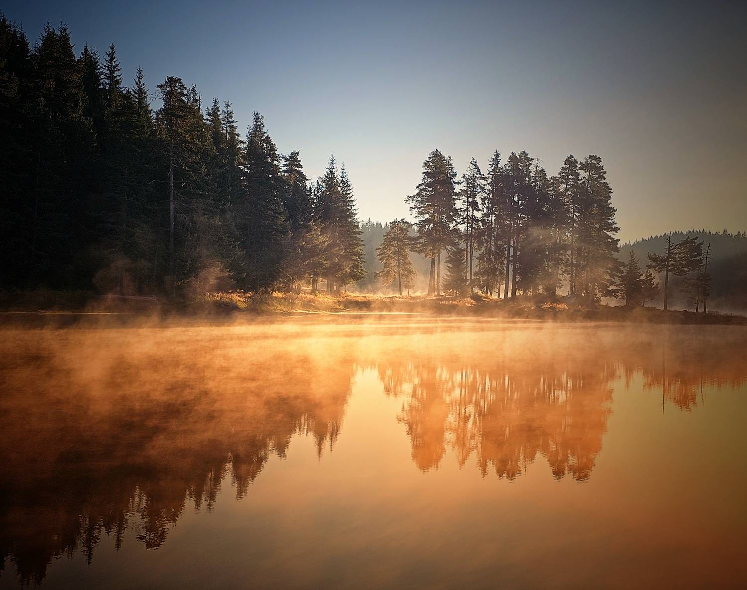 , Герчев Николай