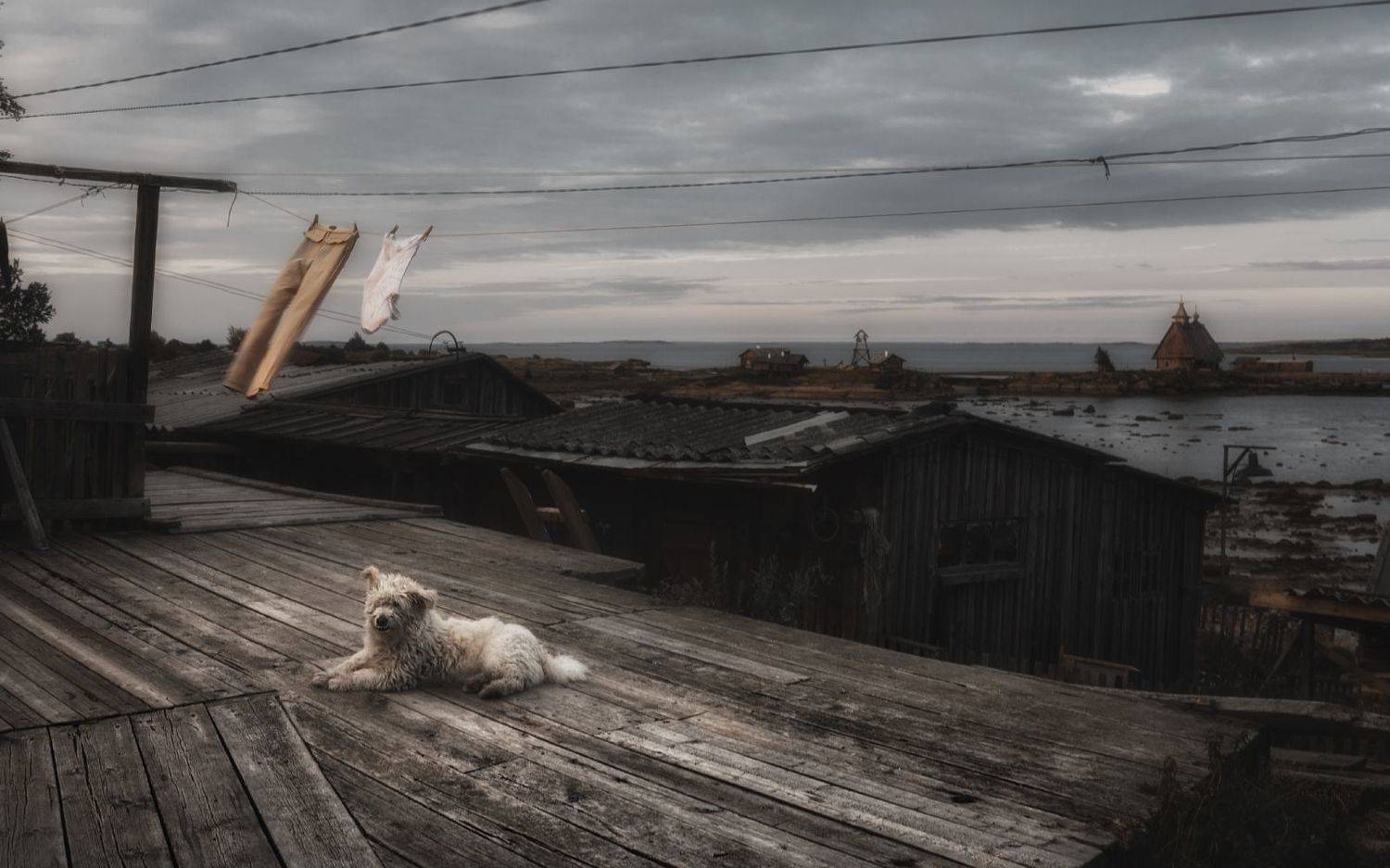 , Олег Дунаев