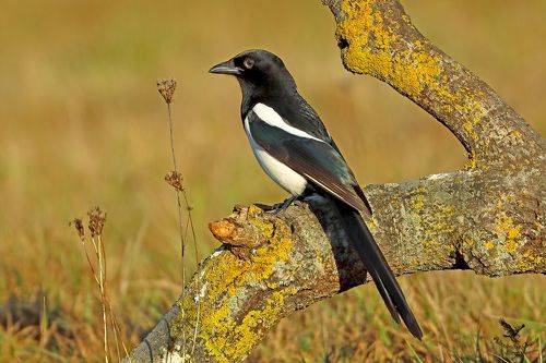 В лучах ноября.