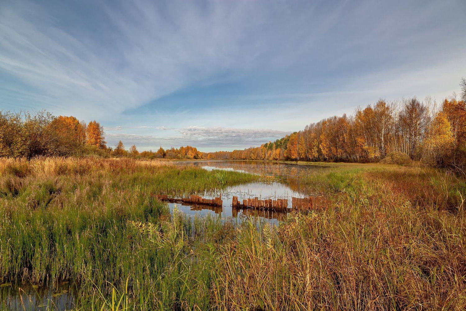 озеро, лес, протока, забор, трава, Анкудинов Леонид