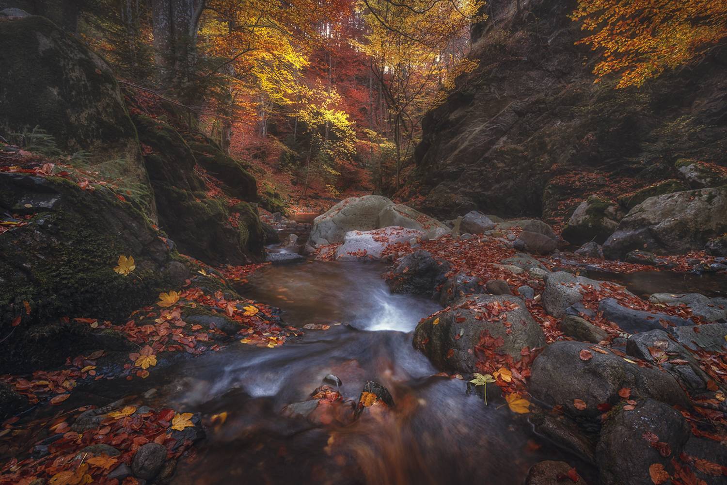 landscape, nature, scenery, forest, wood, autumn, fall, river, mountain, staraplanina, bulgaria, лес, Александров Александър
