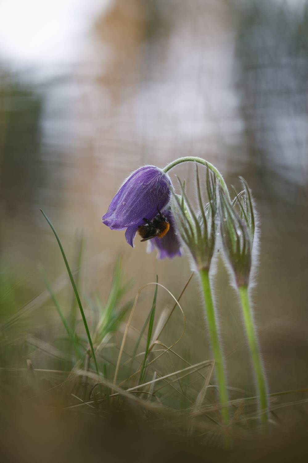 , Кузнецов Дмитрий