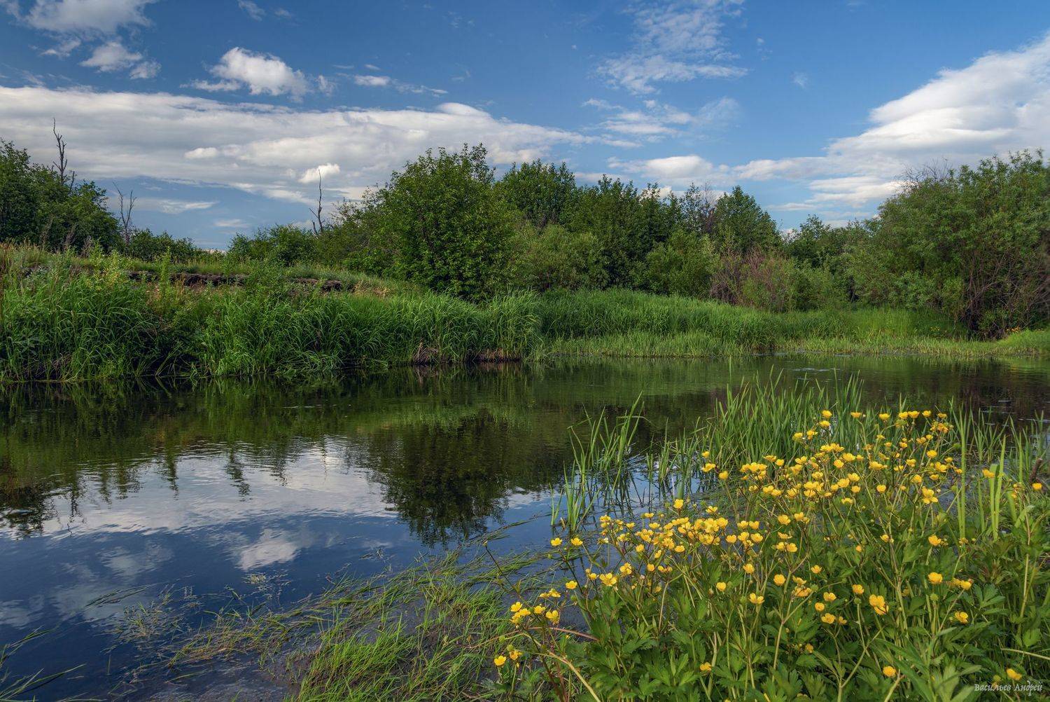 река урал, башкирия, лето, природа, Vasilyev Andrey