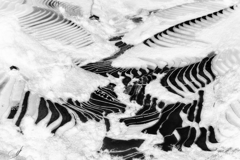 Rice&Icon of Vietnam фото превью