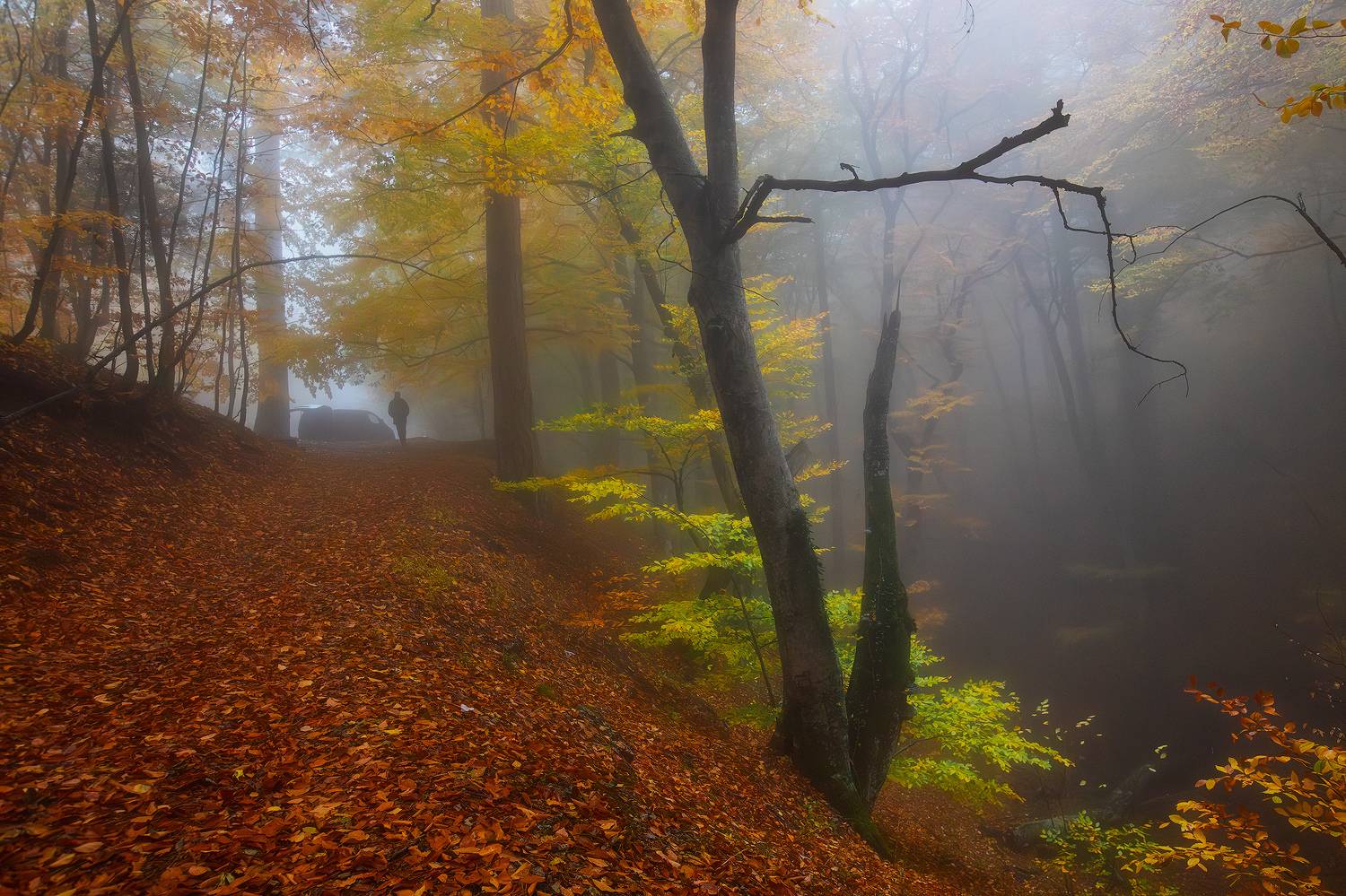 , Костенко Александр