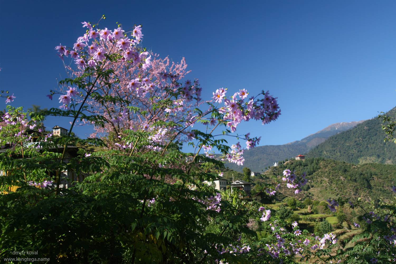гималаи и крым вне треков, пейзаж как магия, Коваль Дмитр