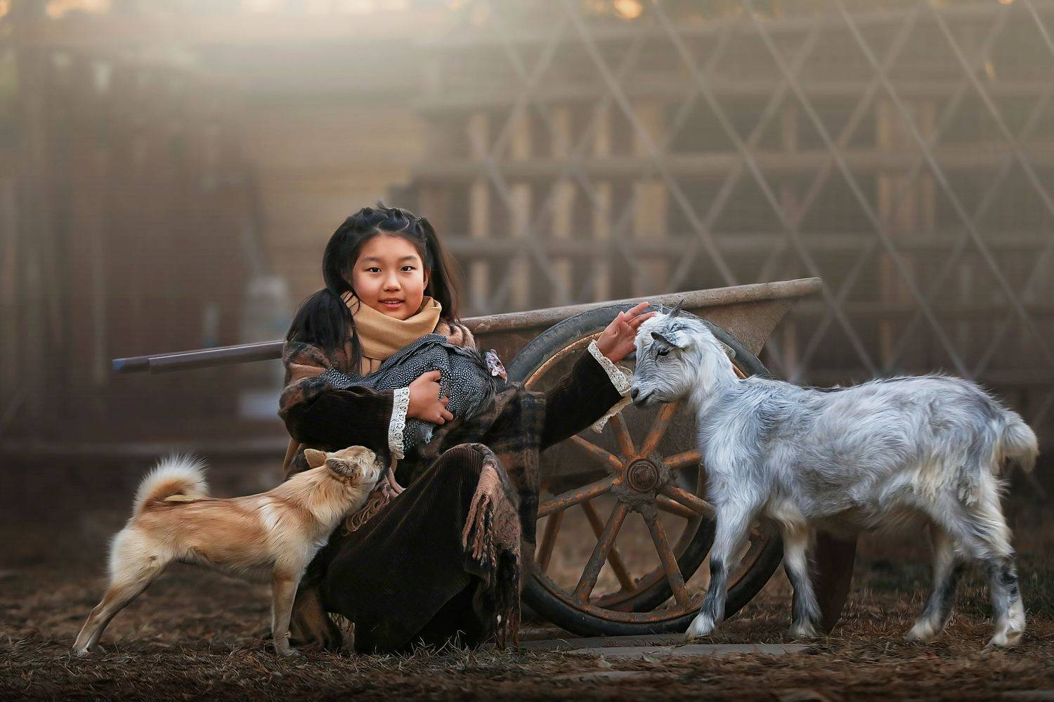 yao wenqi,  姚文琦