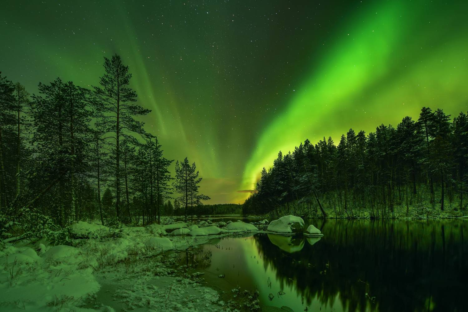 , Максим Евдокимов