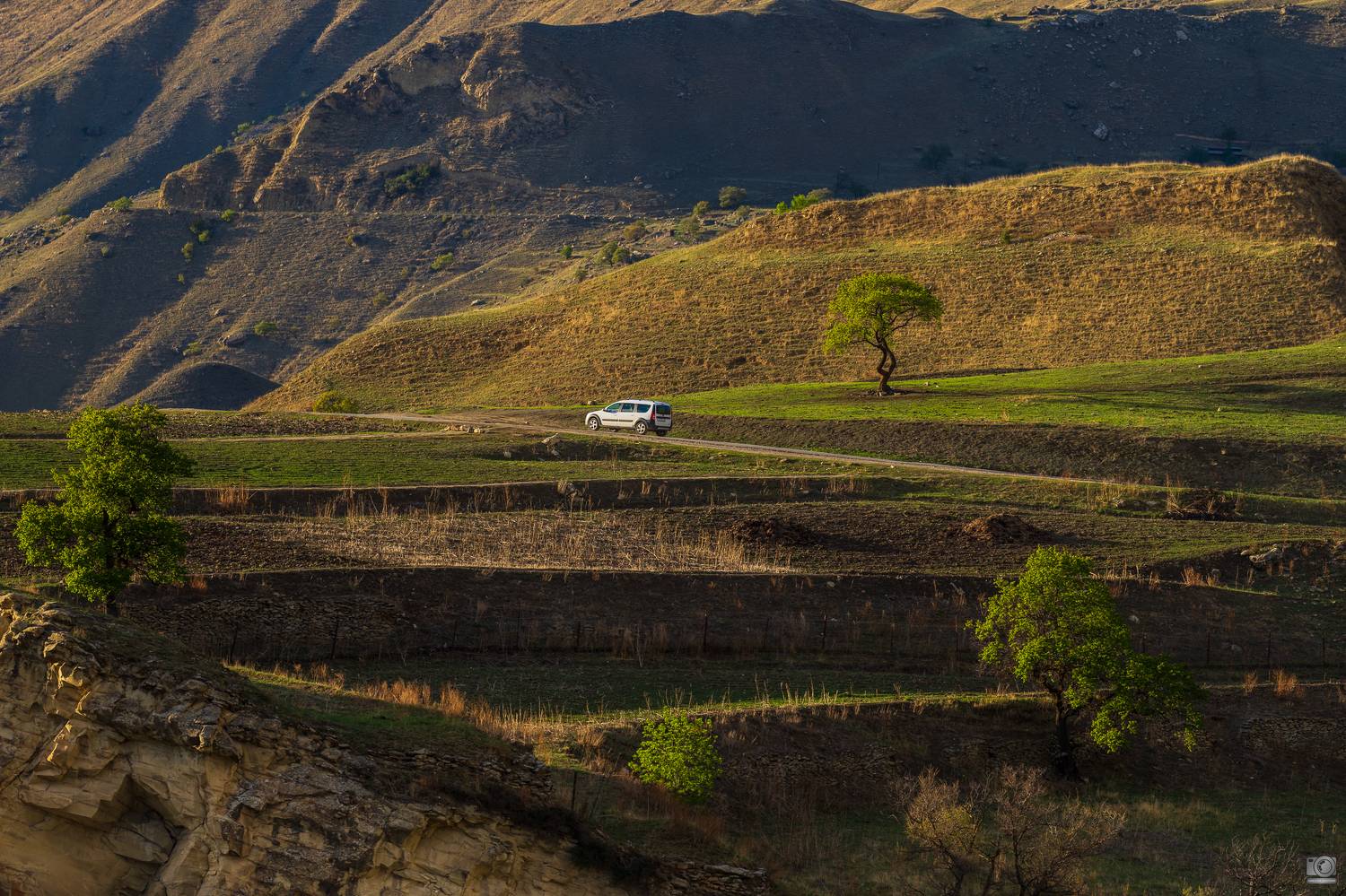 чох, Ковалев Дмитрий