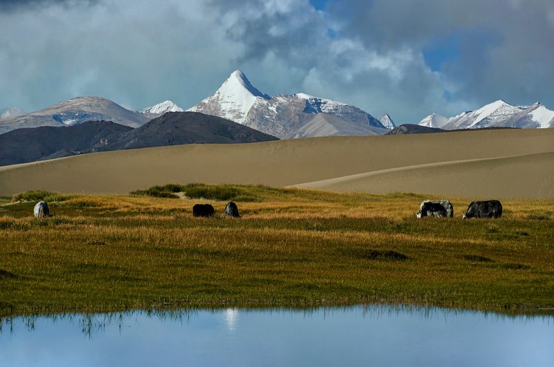 landscapes Красивые пейзажи по дороге-Тибет фото превью