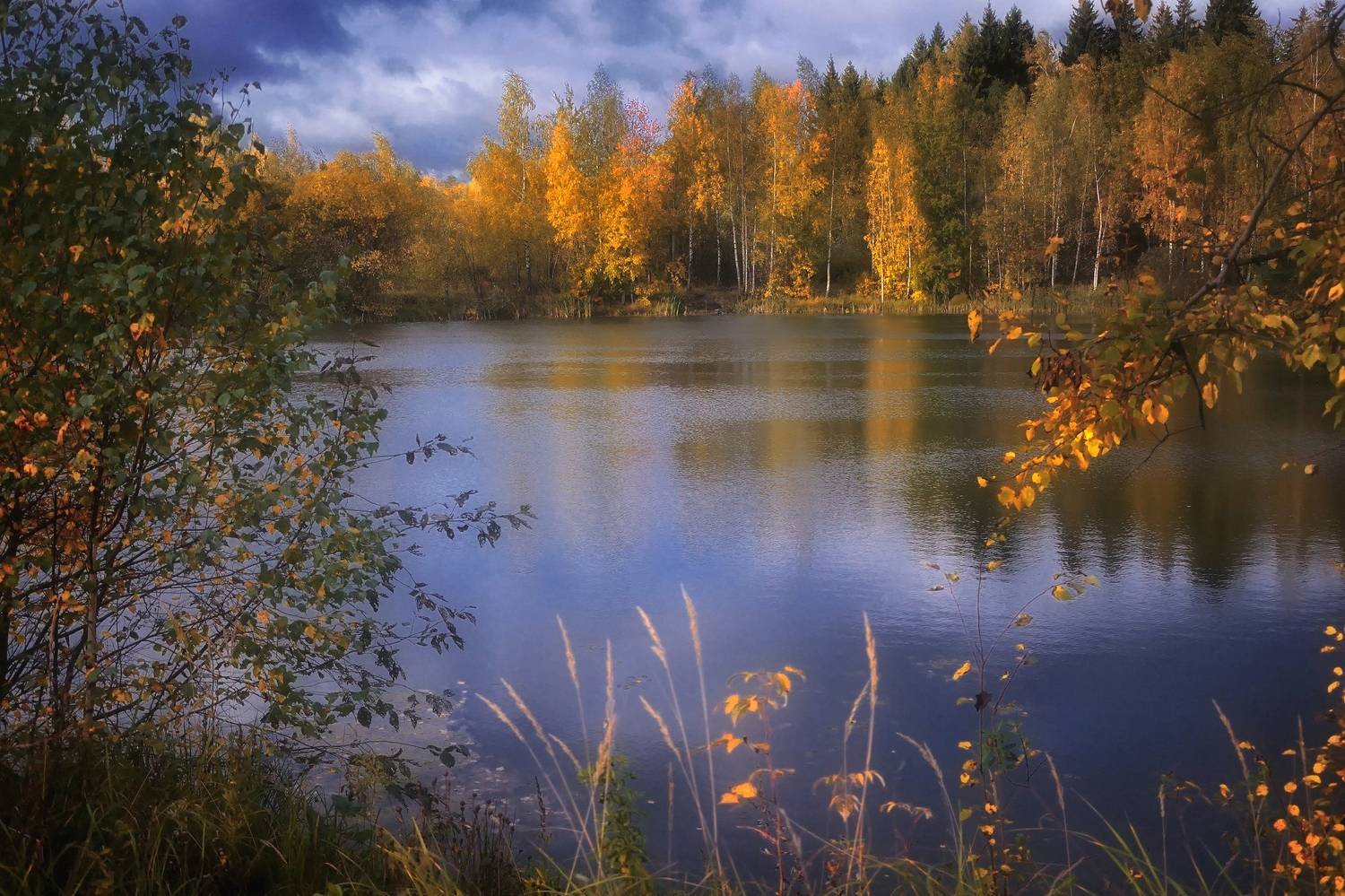 , Алексей Никонов