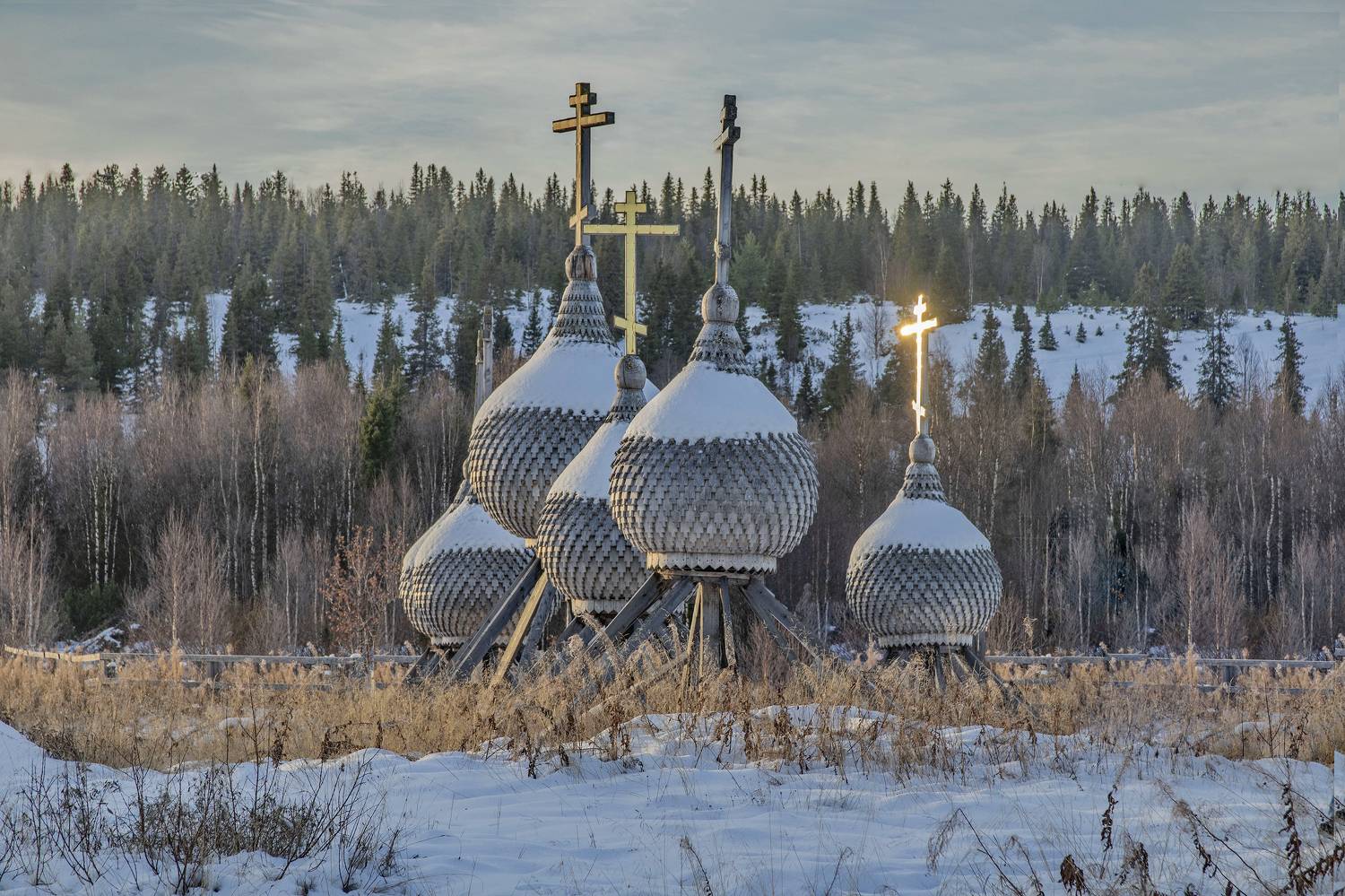 , Добролюбова Тамара