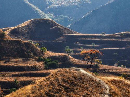 Горные террасы Дагестана