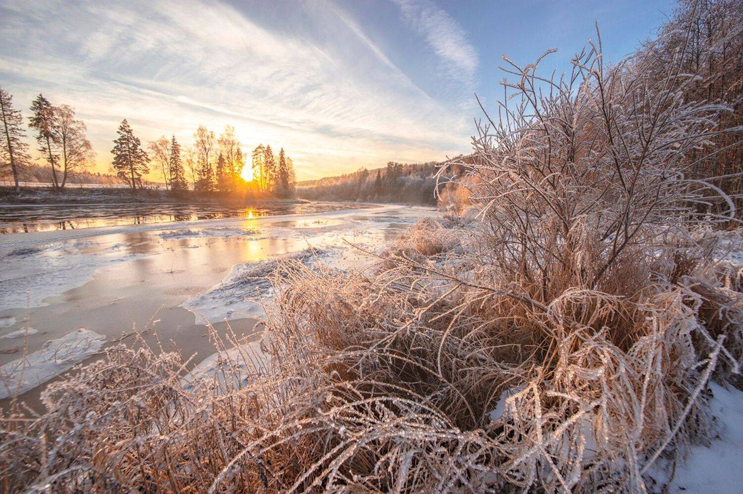 , Петр Косых